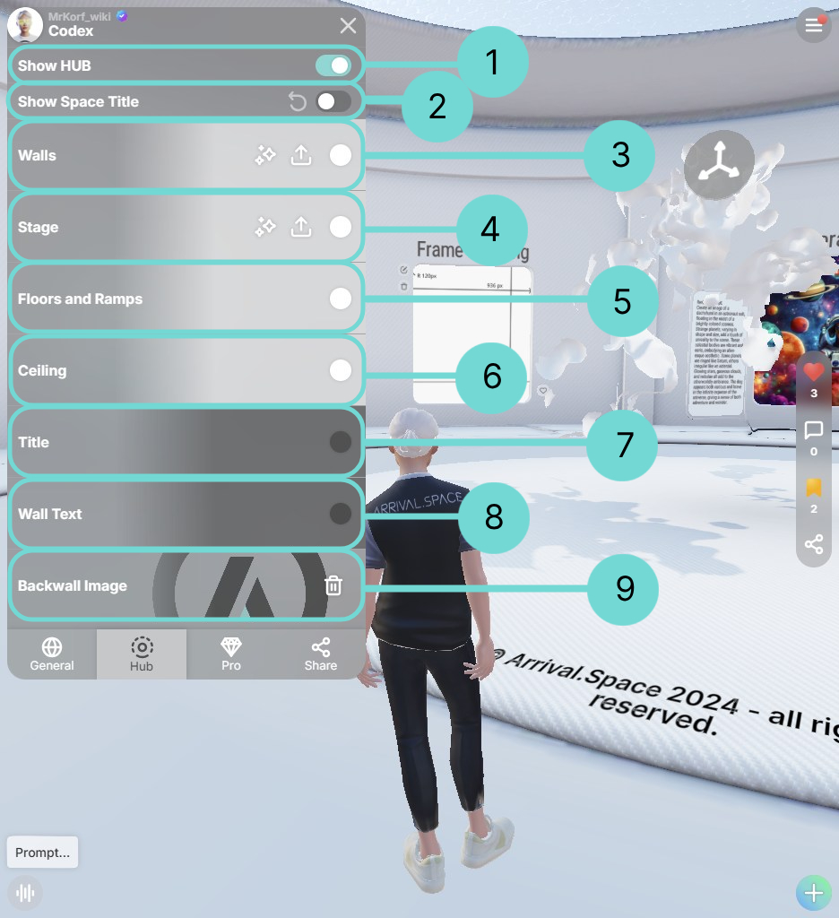 Hub customization options